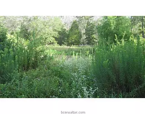 6872 Weber Rd, Bryan, TX 77808 photo 6
