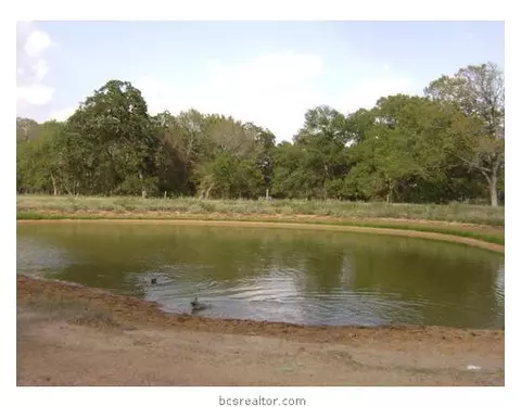38820 Wiggins, Hempstead, TX 77445 photo 11