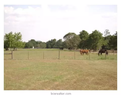 38820 Wiggins, Hempstead, TX 77445 photo 7