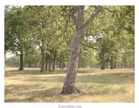 38820 Wiggins, Hempstead, TX 77445 photo 8