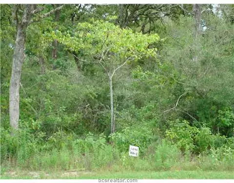 7779 Hidden Trl, Bryan, TX 77808 photo 4
