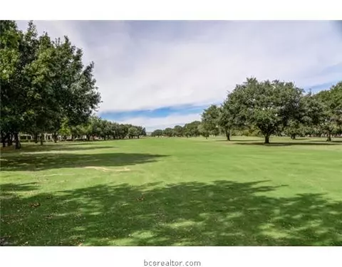2908 Broadmoor Dr, Bryan, TX 77802 photo 18
