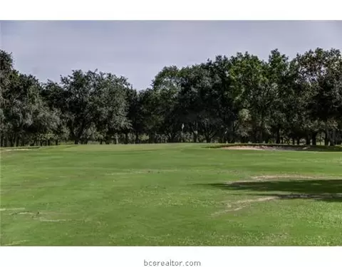 2908 Broadmoor Dr, Bryan, TX 77802 photo 20