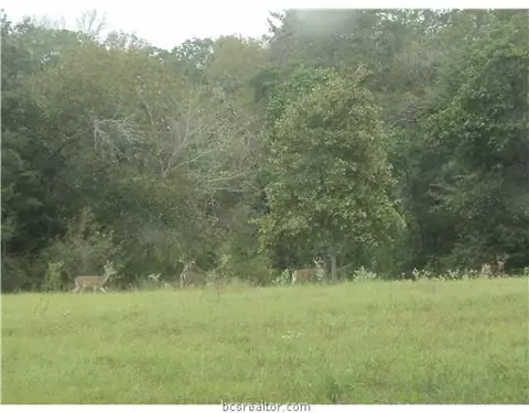 4920 Burt Rd, Bryan, TX 77807 photo 22