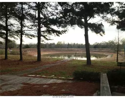 11089 Grassbur Rd, Bryan, TX 77808 photo 3