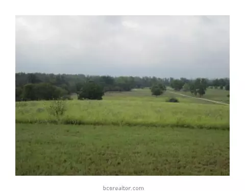 11101 River, College Station, TX 77845 photo 24