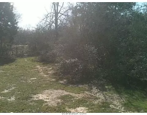 220 Rustic Oaks Dr, Bryan, TX 77808 photo 11