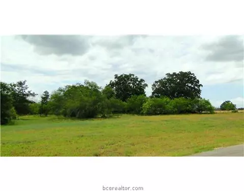 3909 Bravo Ct, Bryan, TX 77808 photo 5