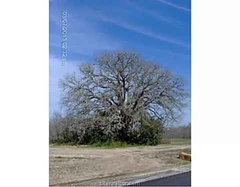 8501 Green Br, Bryan, TX 77808 photo 23