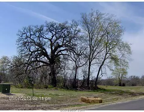8501 Green Br, Bryan, TX 77808 photo 15