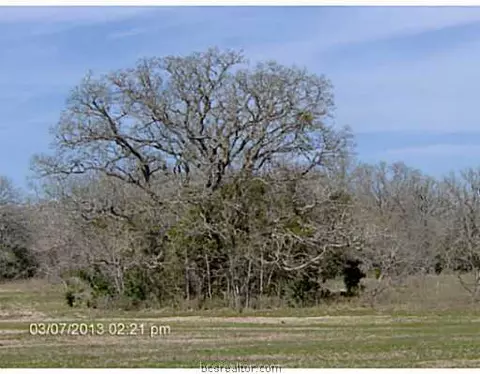 8501 Green Br, Bryan, TX 77808 photo 20