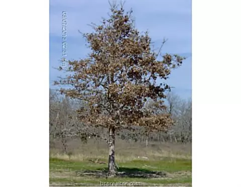 8501 Green Br, Bryan, TX 77808 photo 22