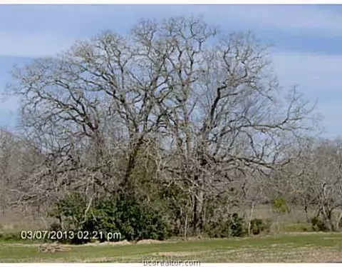 8501 Green Br, Bryan, TX 77808 photo 19