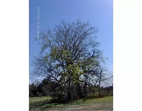 8501 Green Br, Bryan, TX 77808 photo 25