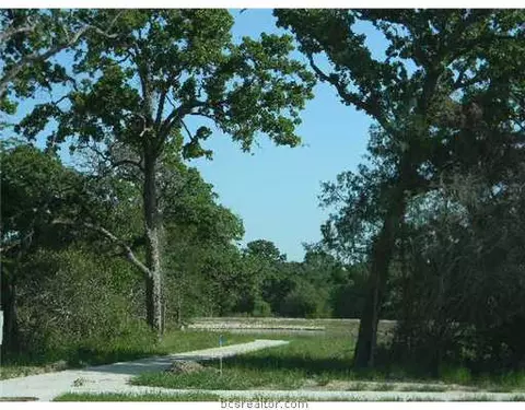 2926 Blue Belle Dr, Bryan, TX 77807 photo 8
