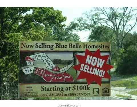 2926 Blue Belle Dr, Bryan, TX 77807 photo 9