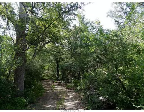 11424 Opersteny Lane County Rd, Bryan, TX 77808 photo 3