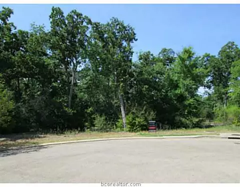 3606 Red Cedar Ct, Bryan, TX 77807 photo 3