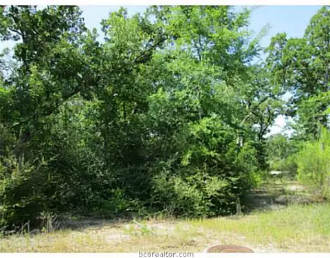 3606 Red Cedar Ct, Bryan, TX 77807 photo 5