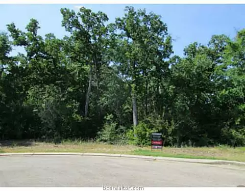 3606 Red Cedar Ct, Bryan, TX 77807 photo 4
