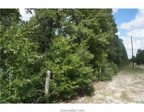 7261 Fm 1361, Snook, TX 77836 photo 8