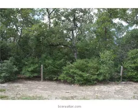 7261 Fm 1361, Snook, TX 77836 photo 5