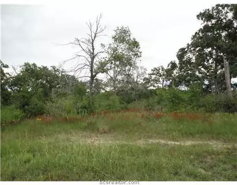 205 Ranchette Ct, Bryan, TX 77808 photo 4