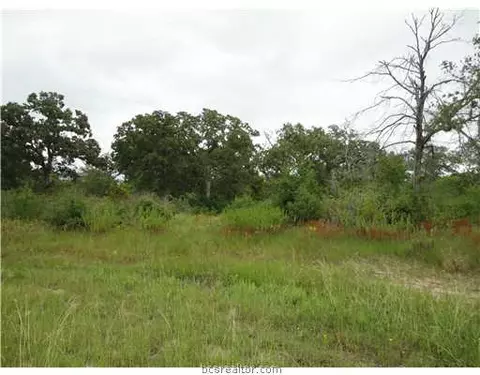 205 Ranchette Ct, Bryan, TX 77808 photo 3