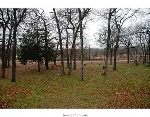 8959 Burch Ln, Bryan, TX 77808 photo 16