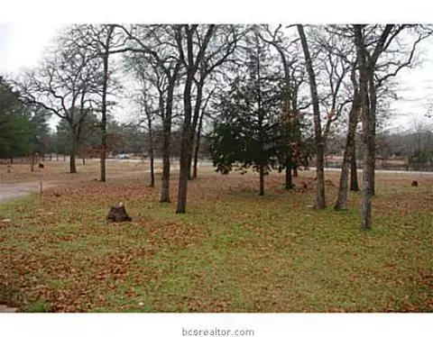 8959 Burch Ln, Bryan, TX 77808 photo 17
