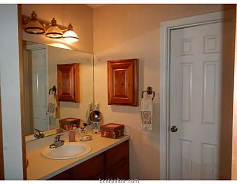 2909 Burning Tree Ct, Bryan, TX 77802 photo 9
