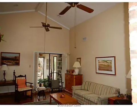 2909 Burning Tree Ct, Bryan, TX 77802 photo 3