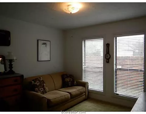 2909 Burning Tree Ct, Bryan, TX 77802 photo 10