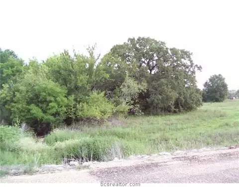 5868 Standing Rock Rd, Bryan, TX 77808 photo 9