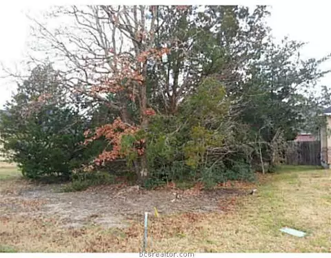 2113 Ella Ln, Bryan, TX 77802 photo 5