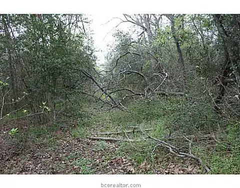 13080 S Fork Ln, Iola, TX 77861 photo 19