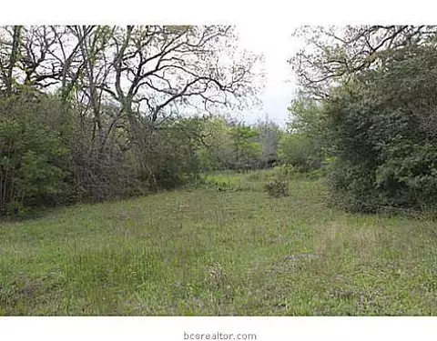 13080 S Fork Ln, Iola, TX 77861 photo 16