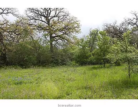13080 S Fork Ln, Iola, TX 77861 photo 18