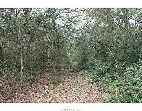 13080 S Fork Ln, Iola, TX 77861 photo 17
