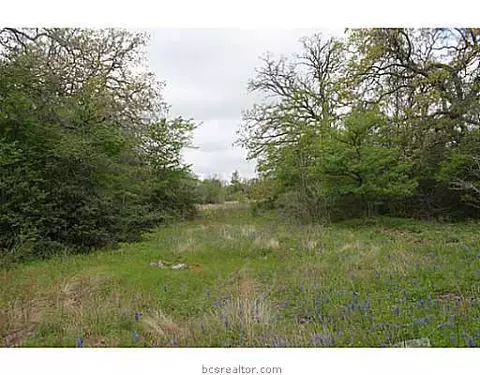 13080 S Fork Ln, Iola, TX 77861 photo 21