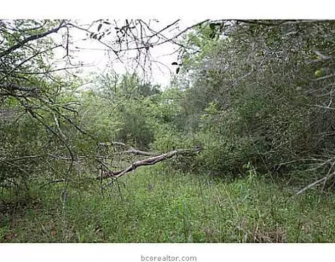 13080 S Fork Ln, Iola, TX 77861 photo 23