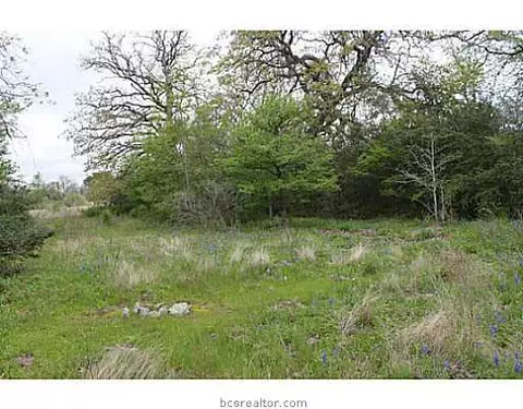 13080 S Fork Ln, Iola, TX 77861 photo 20