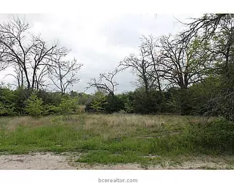 13080 S Fork Ln, Iola, TX 77861 photo 6