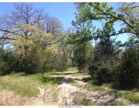 11600 Long Trussel Rd, Bryan, TX 77808 photo 7