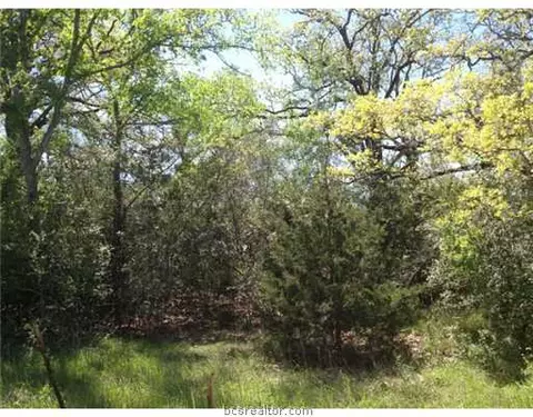 11600 Long Trussel Rd, Bryan, TX 77808 photo 12