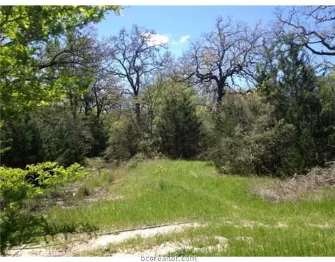 11600 Long Trussel Rd, Bryan, TX 77808 photo 9