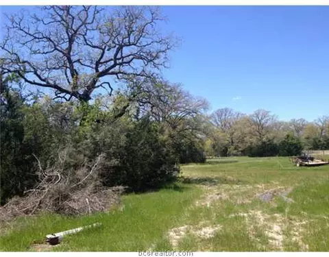 11600 Long Trussel Rd, Bryan, TX 77808 photo 10
