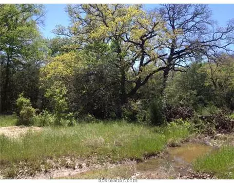 11600 Long Trussel Rd, Bryan, TX 77808 photo 15