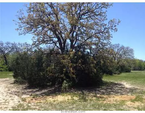 11600 Long Trussel Rd, Bryan, TX 77808 photo 3
