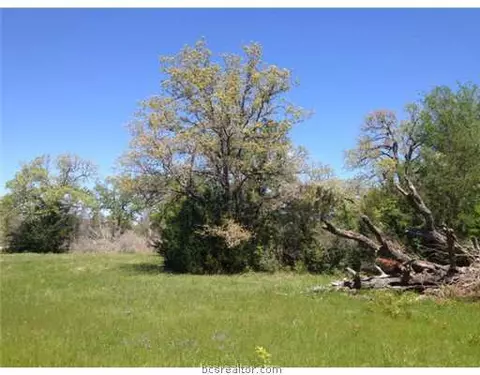 11600 Long Trussel Rd, Bryan, TX 77808 photo 11
